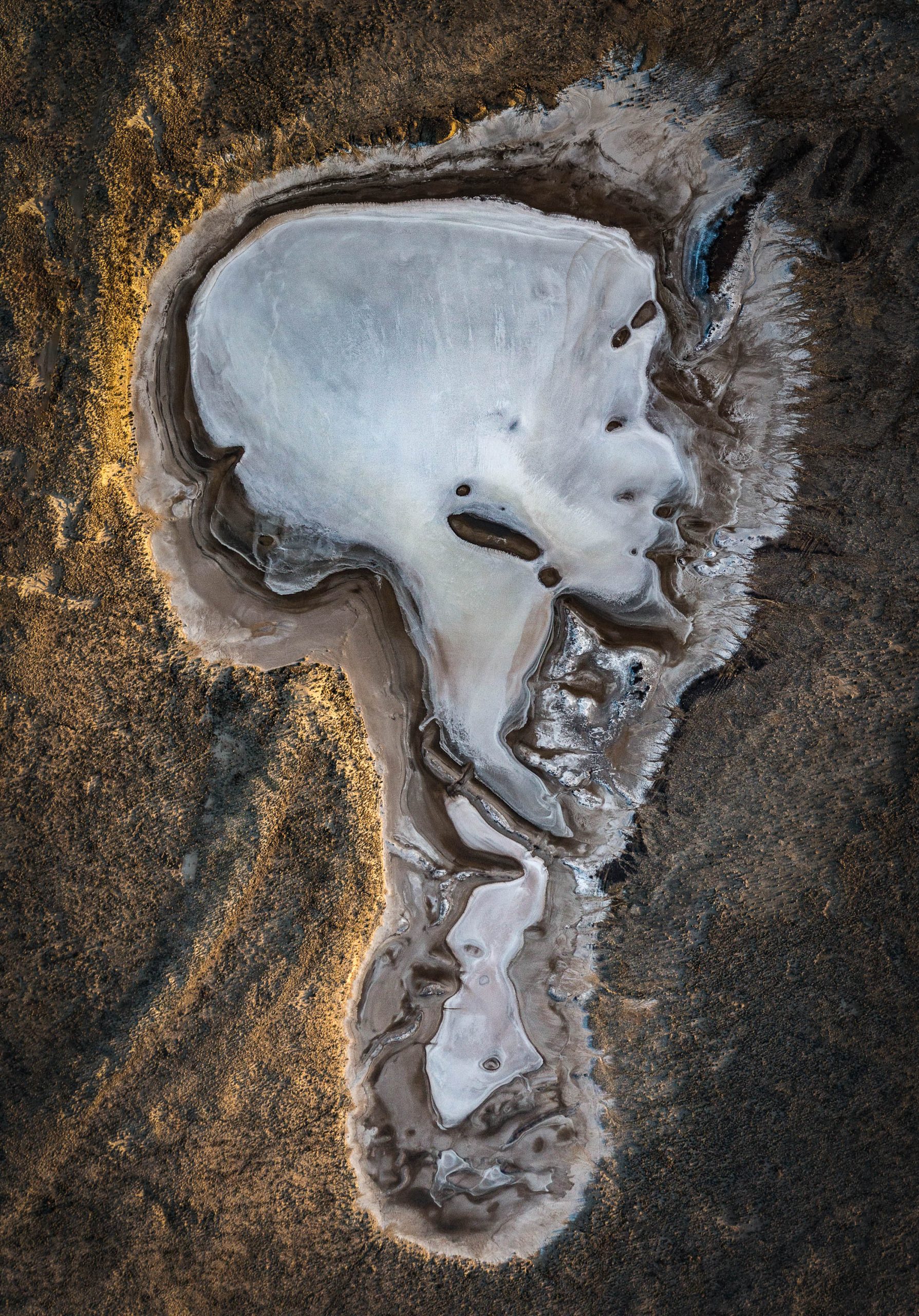 ARTitude product "Lady of the Lake" by artist Robin Yong.